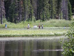 Maybe you would like to learn more about one of these? Silver Lake Loop Trail Big Cottonwood Canyon
