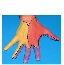 Image result for Digital Block