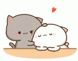 5,250 funny cats + cute kittens • 100% original content • daily creations. Cat Gray Cat Gif Cat Graycat Whitecat Discover Share Gifs Cute Cartoon Pictures Cute Cartoon Images Cute Anime Cat