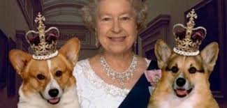 How Well Do You Know Your Dog Breeds Corgi Queen Elizabeth Elizabeth Ii