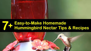 Check spelling or type a new query. 7 Easy To Make Homemade Hummingbird Nectar Tips And Recipes