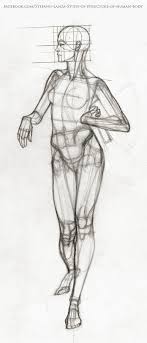It all comes down to the notion of drawing the human body in the correct manner. Pin On Body Art