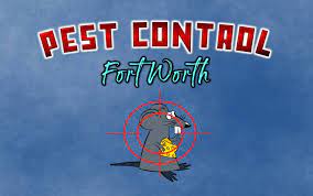 Pest control fort worth is the right choice for all your pest issues. The 6 Best Options For Pest Control In Fort Worth 2021
