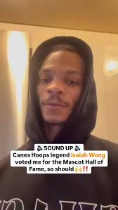 Sebastian the Ibis added a new photo...