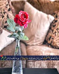 Aℓi On Instagram ولنا بع نق السماء أ منيات معلقة ستهطل يوما بغيث من فرح فل Islamic Quotes Wallpaper Wallpaper Quotes Islamic Quotes