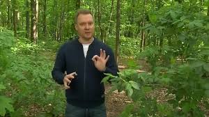 Fragment reportażu kazimierza nowaka czyta ziemowit pędziwiatr. Pogoda Ziemowit Pedziwiatr 2