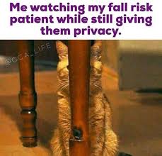 Pin By Miranda Bowers On Nursing In 2020 Nurse Jokes Medical Jokes Nursing Memes