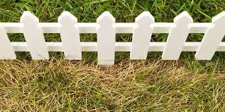 (have got can replace have.) □ i think that wally has a yellow streak down his back. How To Treat Dry Grass And Brown Spots Lawn Care Guide
