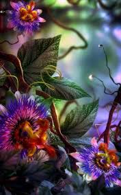3d Flowers Wallpaper Iphone 8 Digital Flowers Flower Art Orchid Wallpaper