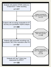 Flow Chart Of Subjects Included In The Analysis Stemi St