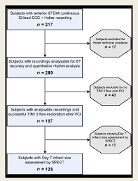 flow chart of subjects included in the analysis stemi st