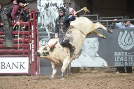 Check spelling or type a new query. Fritzlan And Frost The Highs And Lows Of Bull Riding S Danger Zone World Champions Rodeo Alliance