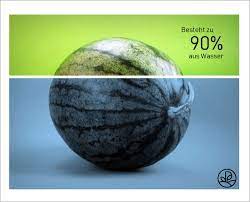 Wie viel kalorien hat eine honigmelone? Wassermelone Kalorien Und Nahrwerte Plantura
