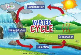 رسومات عن دورة الماء في الطبيعة للاطفال رسم تعليمي بالعربي نتعلم water cycle process water cycle cycle process