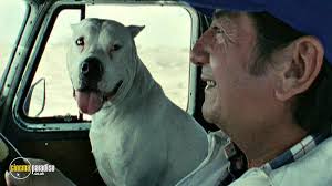 Picture Of Bombon El Perro