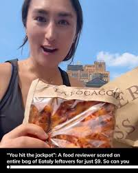 Food vs Liquor Purchase Decision with Limited Budget