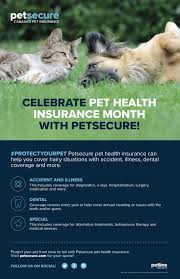 Petcard offers a simple and affordable way to finance the treatment or product your pet needs and it allows you to get it without i received excellent service from everyone at ifinance canada since 2013 and am so very appreciative. September Is Pet Health Insurance Month Happy Tails Animal Hospital