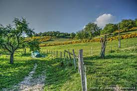 dedenborn nationalpark eifel nationalpark eifel park