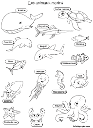 Epingle Par Hejer Slouma Sur Lina Imagier Animaux Coloriage Animaux Animaux Marins