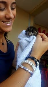 Another survivor, we named her Esperanza which means hope. Hope is what we  need this moment in our island 🖤. Thanks to everyone who has been  donating. Your donations help us save