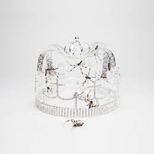 You Should See Me In A Crown Wikipedia Welcome to words to use, a new kind of word reference that can help you write about anything! you should see me in a crown wikipedia