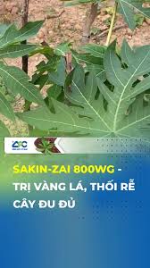 Sakin-Zai 800WG