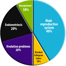 68 prototypal fertility pie chart