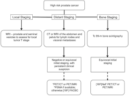 Most prostate cancers are slow growing. Imaging The High Risk Prostate Cancer Patient Current And Future Approaches To Staging Sciencedirect