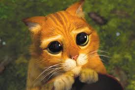 Kucing yang paling mahal saat ini adalah jenis kucing anggora dan kucing persia, pokoknya semakin pesek hidungnya, maka harga kucing itu akan semakin mahal. Gemesin Abis 5 Film Animasi Bertema Kucing Ini Wajib Kamu Tonton