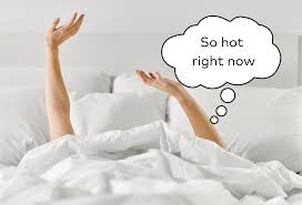 A Midlife Mom Writes a Porno. Warning: story may induce night sweats… | by  Lisa Hides | MuddyUm