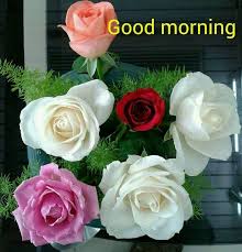 Good Morning Good Morning Flowers Good Morning Wishes Morning Wish