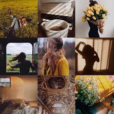 Many conditions and treatments can cause a person to be immunocompromised or have a weakened immune system. Zodiac Queens Cancer Sun Leo Moon Sagittarius Rising You Are