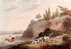 Fox hunting - Wikipedia