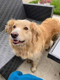 We were asked to make a courtesy...