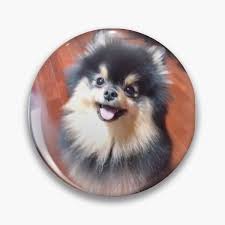 We have gathered 53 amazing bathroom organization and storage pictures to help you get some great ideas. Yeontan Pins And Buttons Redbubble