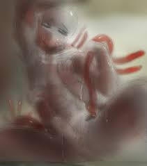 Rule34 - If it exists, there is porn of it   6128741