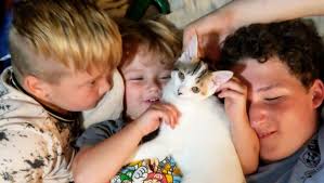 Fundraiser by Elizabeth.Catherine Mills.Hunt.Larson : In loving memory of  Dorian Joshua ♥️