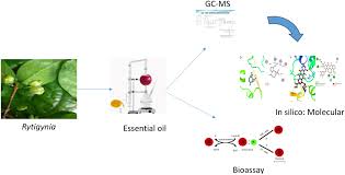 Image result for Rytigynia sp. N