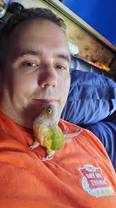 I am selling a Green cheek conure 6 month old parrot for 450$ he was hand  fed as a baby. In the military and moving and can't bring him. He is very