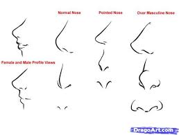 To draw an anime boy's nose, follow the same process you used to sketch the anime girl's nose. Anime Drawings Nose Anime Wallpaper