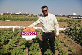 Día Nacional del Girasol: CORTEVA y ALICORP exhibieron como novedad el  híbrido MG360CP