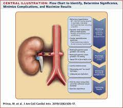 Association between calcineurin inhibitor treatment and peripheral nerve dysfunction in renal transplant recipients. When And How Should We Revascularize Patients With Atherosclerotic Renal Artery Stenosis Sciencedirect