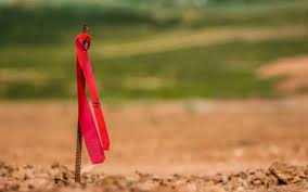 Has metal detecting caught your interest but are on the fence about what metal detector to try to get your toes wet ? Best Metal Detectors For Finding Property Pins 2021
