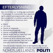 Det oplyser københavns politi på twitter. Thomas Paludan Paltho Twitter