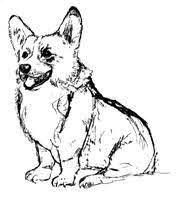 These dogs are able to remain healthy most of their lives and they can live up into their teenage years. Corgi Coloring Page Corgi Art Corgi Artwork Cute Drawings