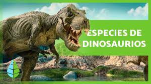 TIPOS de DINOSAURIOS 🦕 ¿Cuántas especies existieron? - YouTube