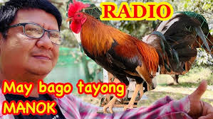 24 CARAT HATCH AND RADIO/GREYS