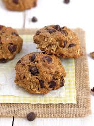 Chocolate Chip Pecan Oatmeal Cookies Recipe Chocolate Chip Cookies Oatmeal Cookies Toaster Oven Recipes
