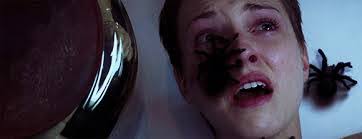 DVD Review: The Collection