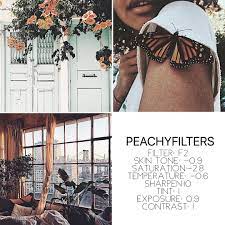 Filter Name Warm As Amber Please Read I Get A Lot Of Questions Asking Where I Get My Photos From None Of Vsco Filter Instagram Vsco Photography Vsco Themes